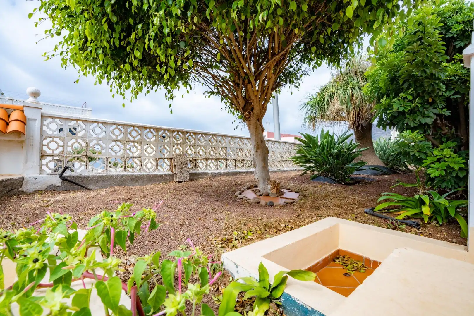 Jardí de Casa o xalet en venda en San Cristóbal de la Laguna