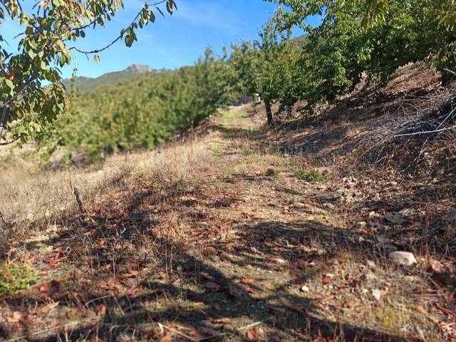 Terreno en Venta en Avenida de Extremadura, 149 en Navezuelas