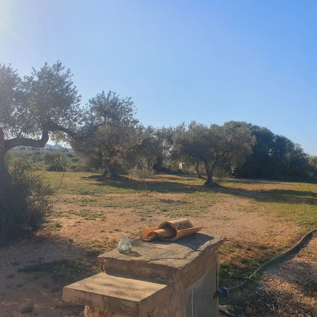 Terrain rustique à vendre à Tivenys, imagen 4