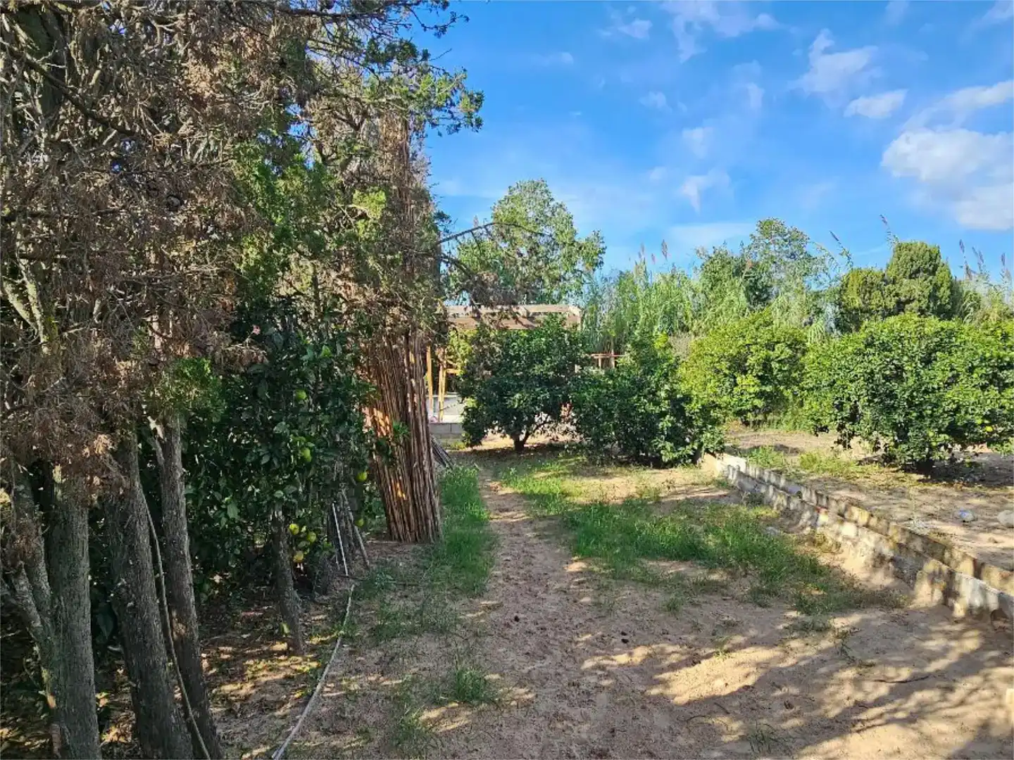 Pis en venda en Oliva amb Jardí privat, Parquet i Traster