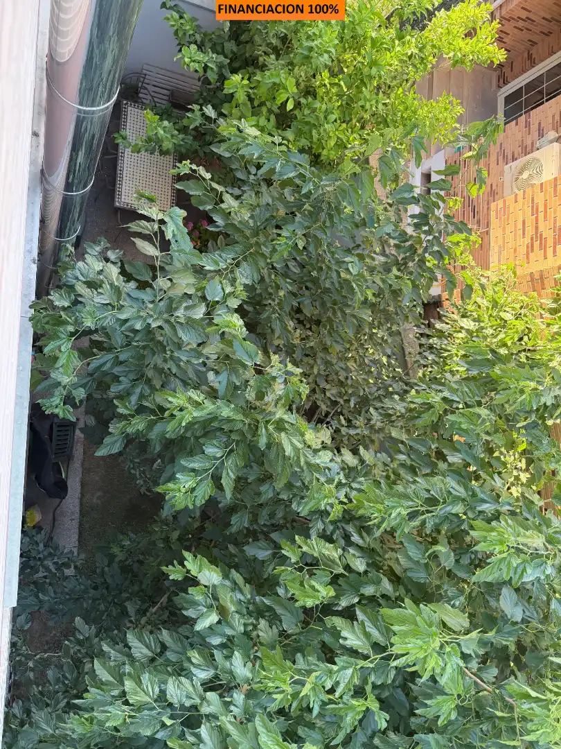 Houses for sale in Calle Paso, San Juan de Mozarrifar
