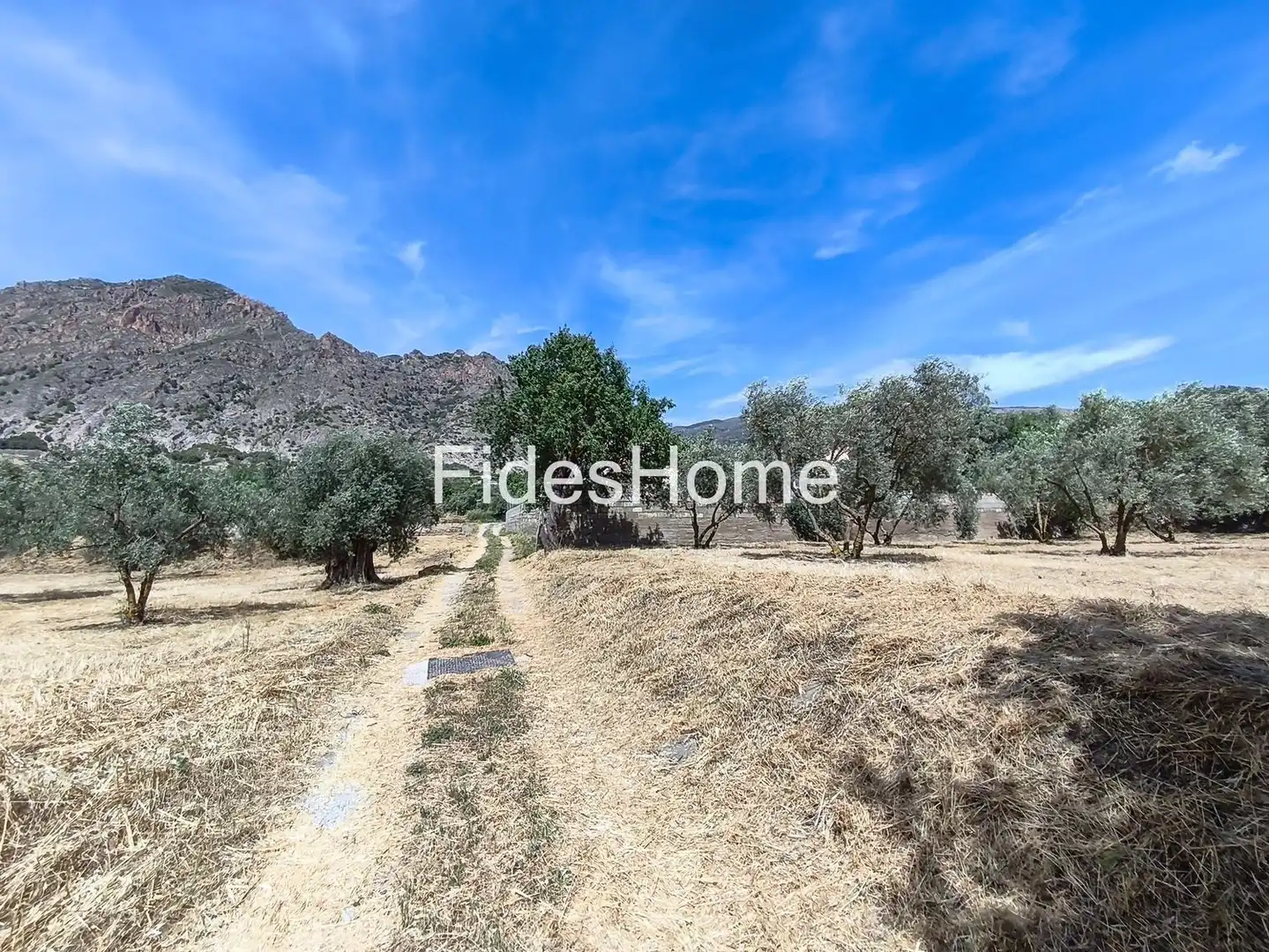 Rural land for sale in XFJ3+526 Nigüelas 0, imagen 3