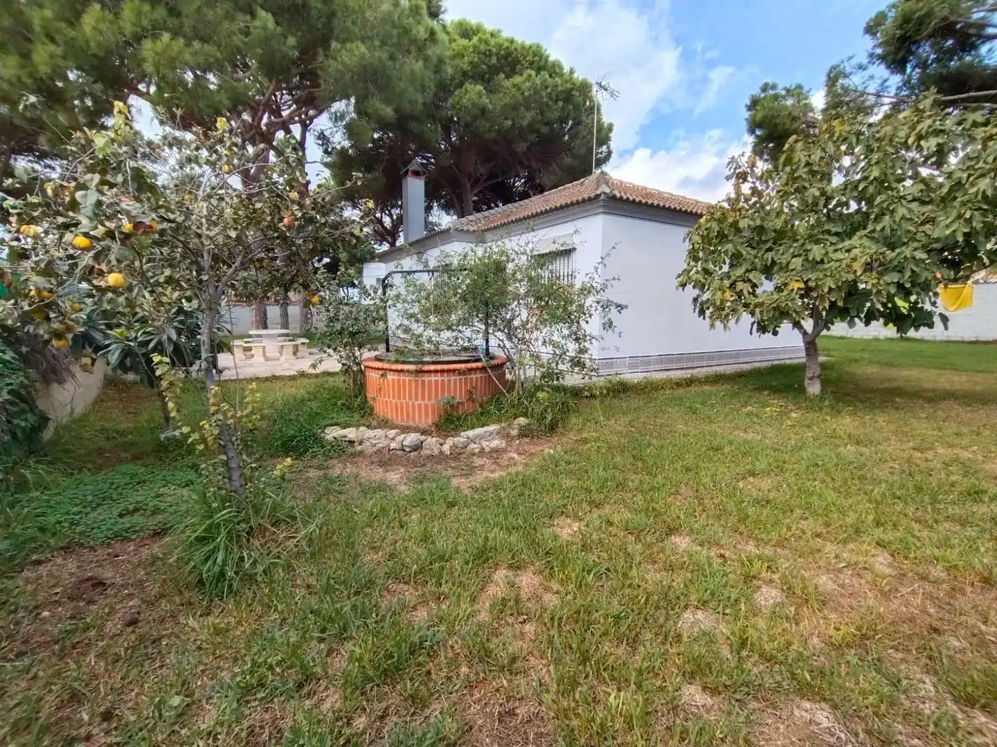 Jardí de Casa o xalet en venda en Chiclana de la Frontera amb Jardí privat i Terrassa