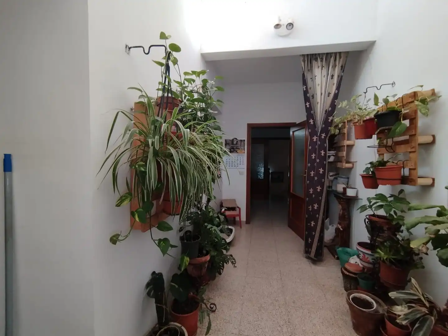 Habitatge amb jardí en venda a Calle Nueva, imagen 5