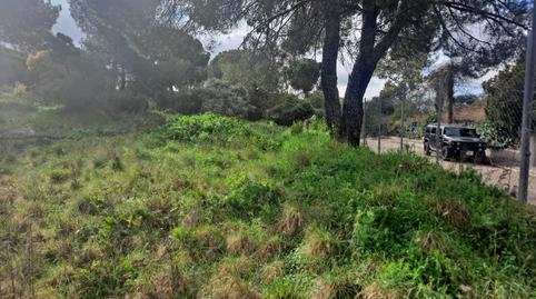 Foto 5 de Residencial en venda a Calle de la Retama, 19, Valdepastores - Las Encinas, Madrid