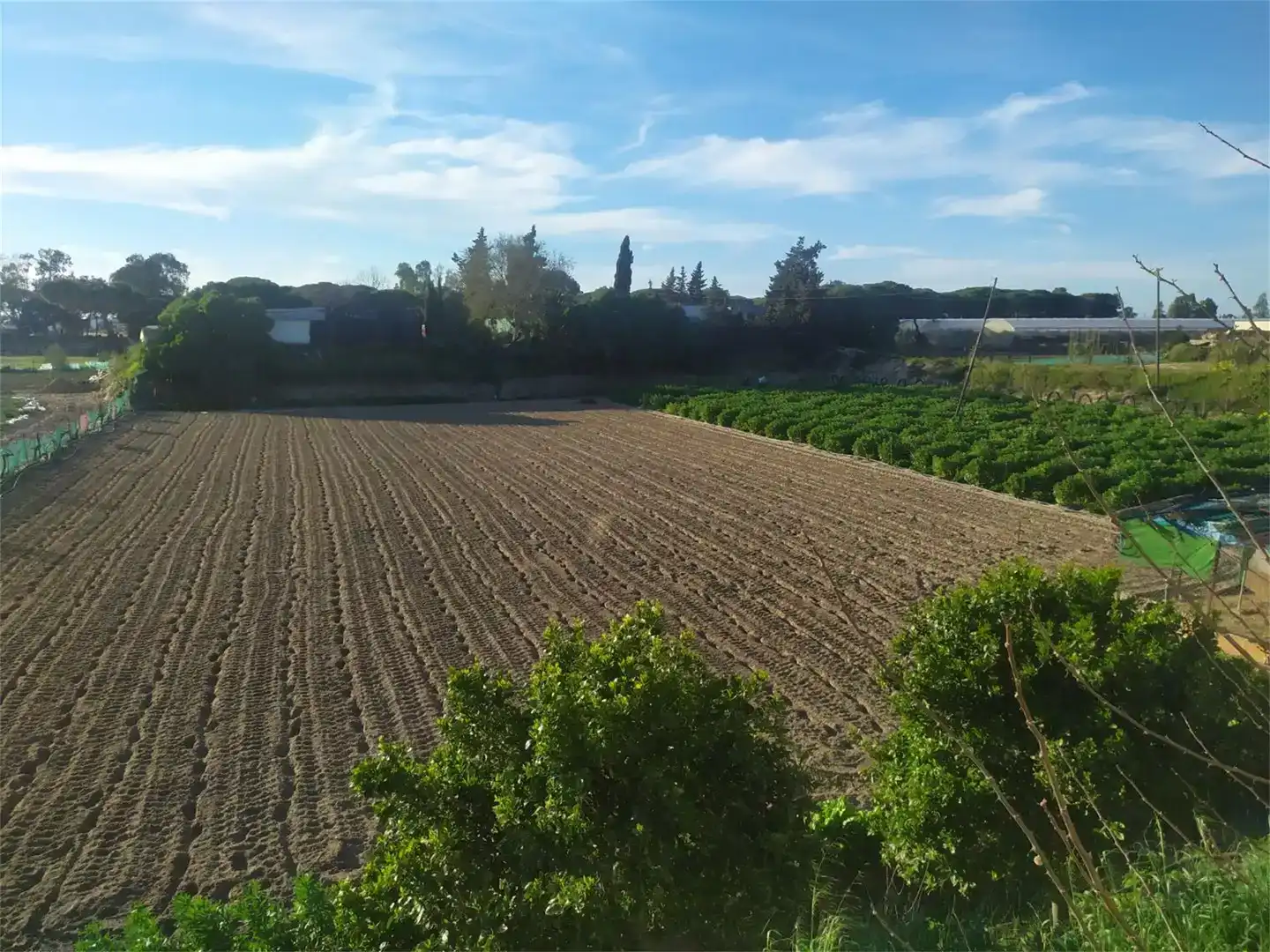Casa o chalet en venta en Bonanza - Avda de Huelva - Barrio Andalucia