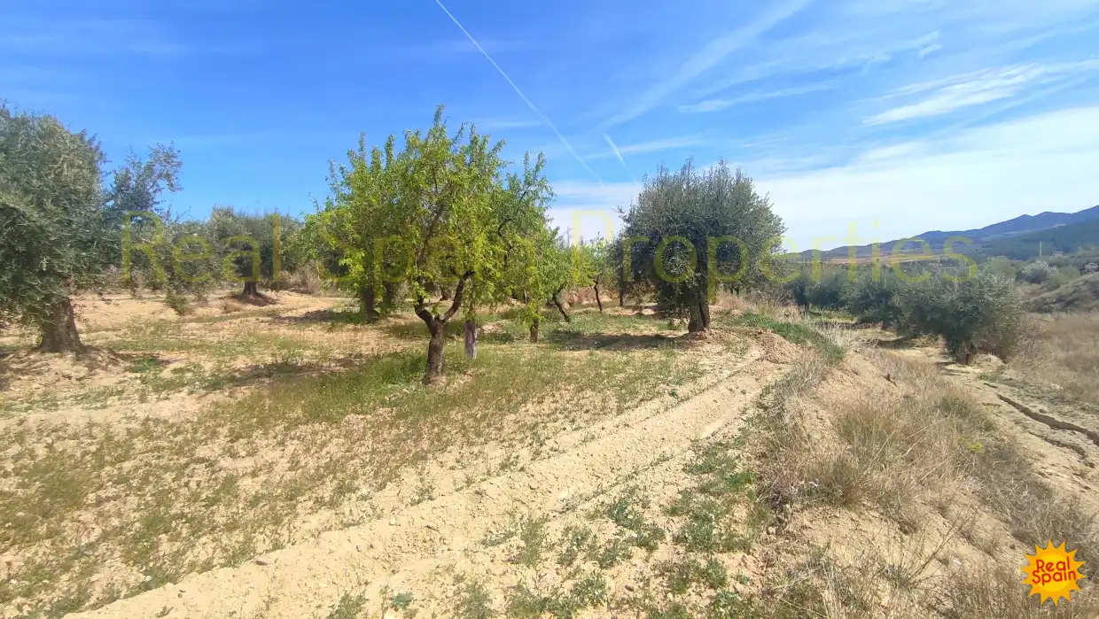 Residential land for sale in Vélez-Rubio, imagen 15