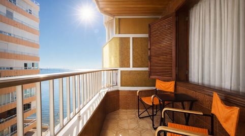 TorreviejaApartamento, imatge 2