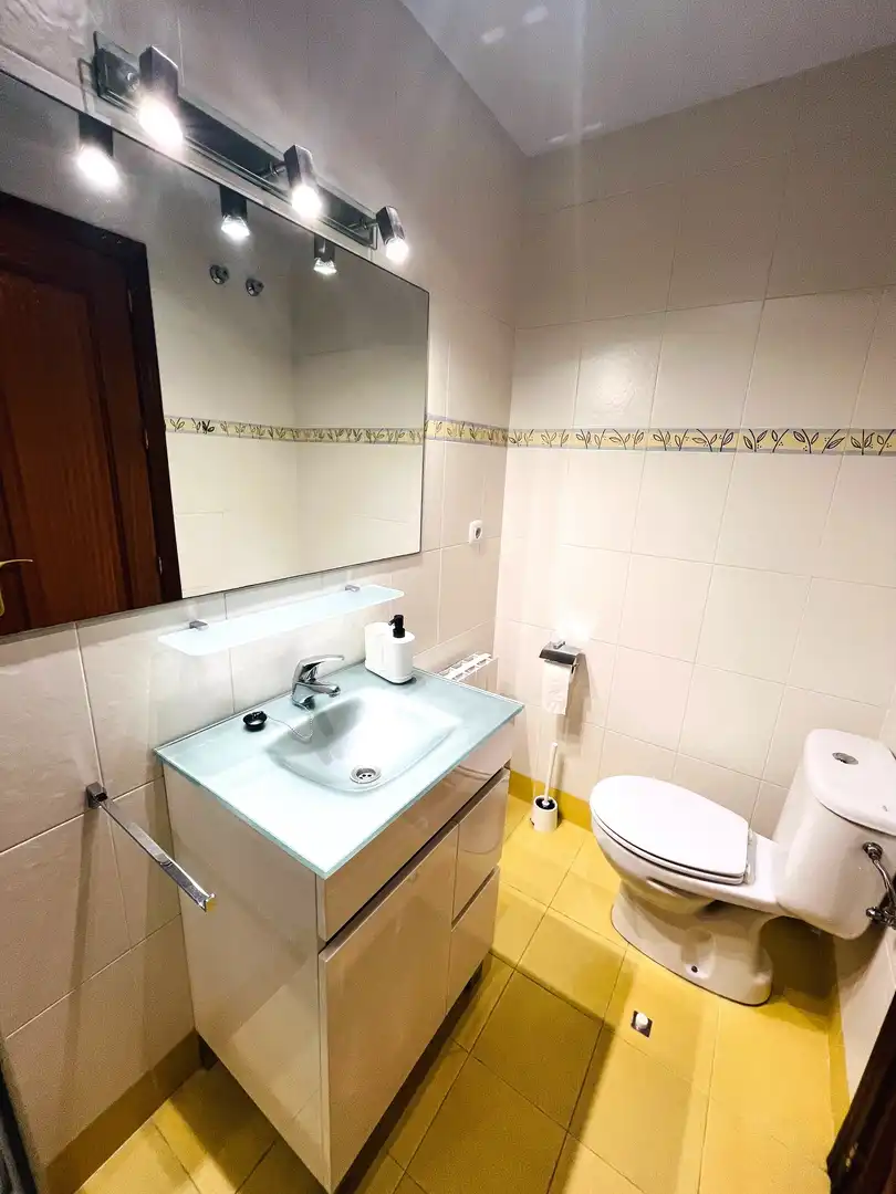 Attic for rent in Ogíjares