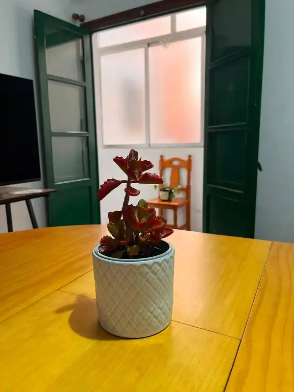 Flat for sale in Albuixech, Valencia