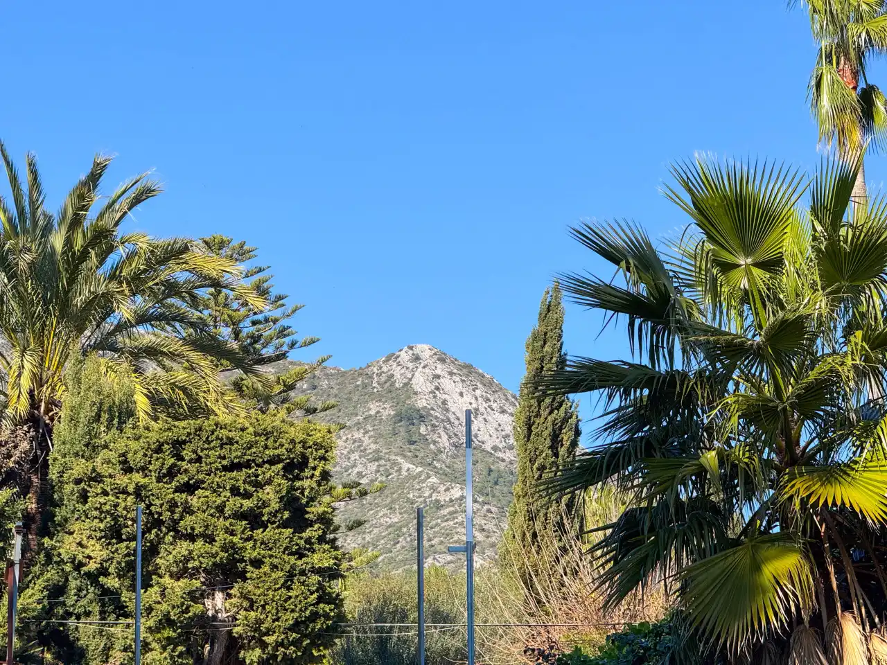 Terrenos y solares en venta en Milla de Oro, imagen 15