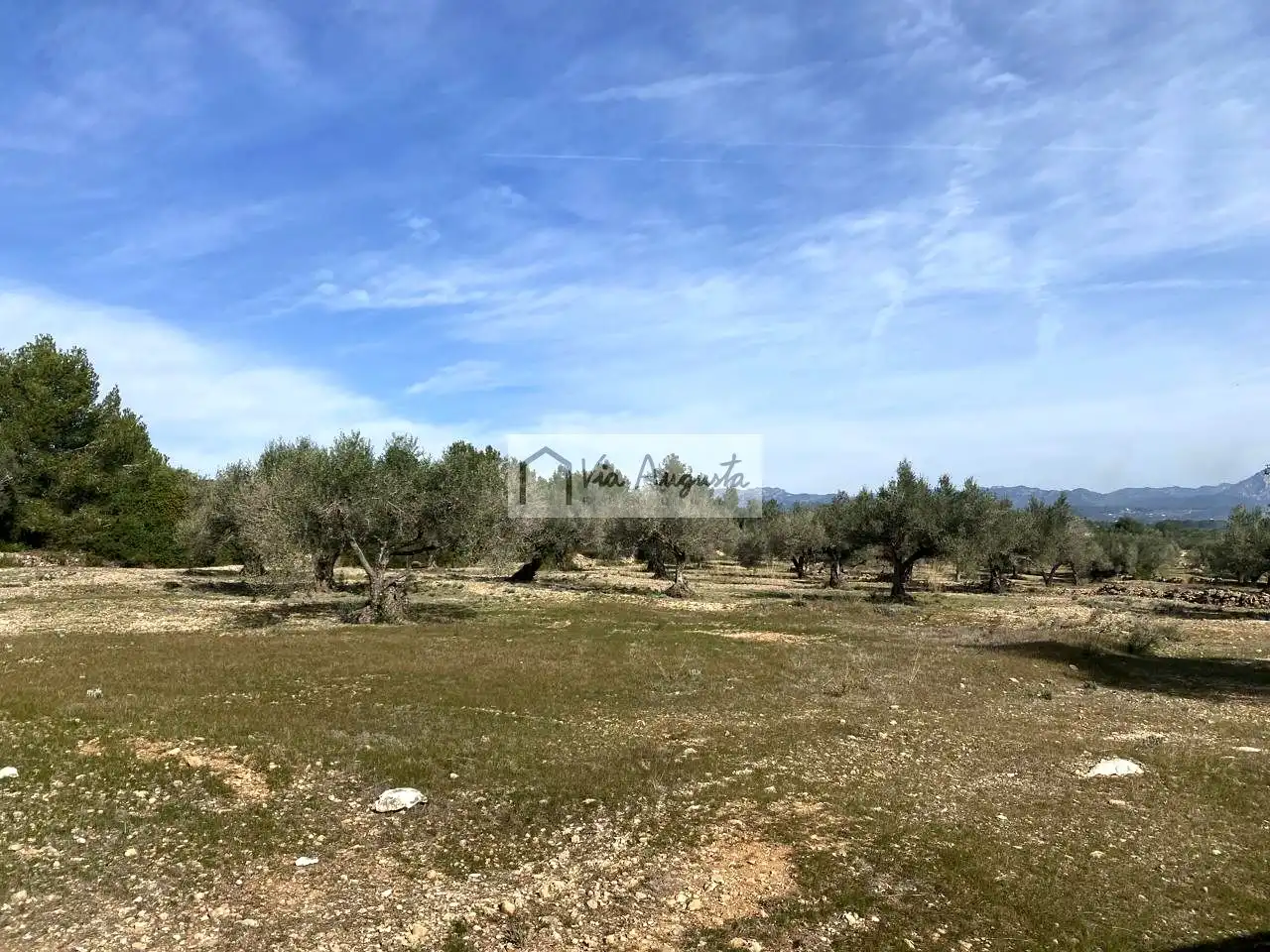 Terreno rustico in vendita a Planas, imagen 31