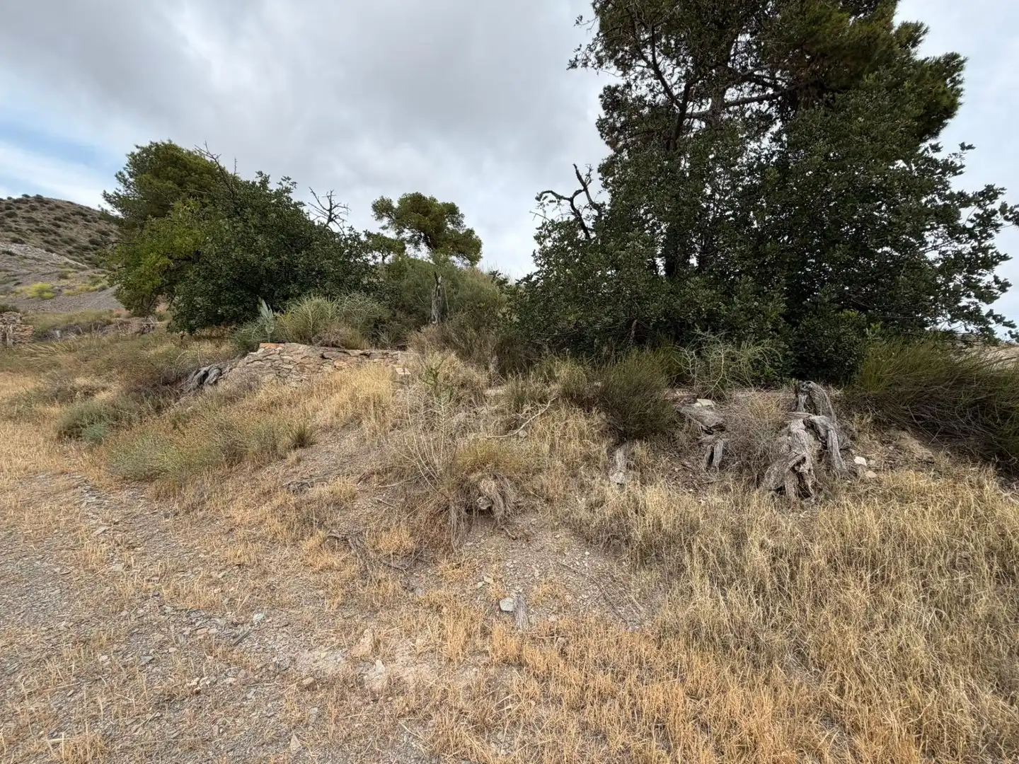 Finca rústica en venta en Lorca con Jardín privado, Terraza y Piscina