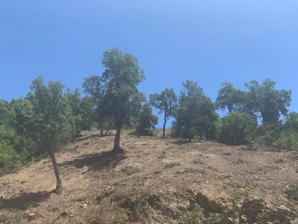 Lands and plots for sale in Riudarenes, imagen 9
