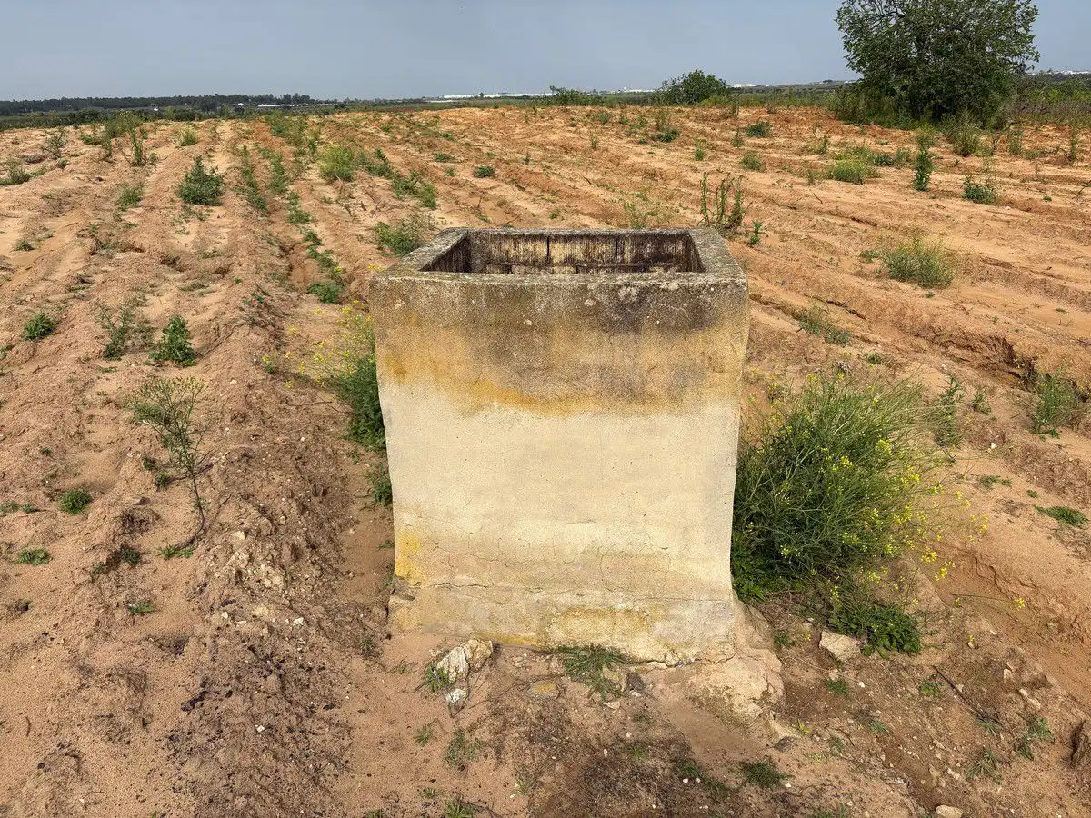 Rustikales Grundstück zum Verkauf in Bollullos Par del Condado, imagen 3