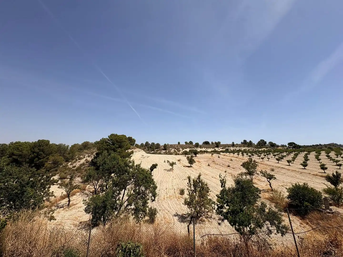 Country homes for sale in Jumilla  with Terrace