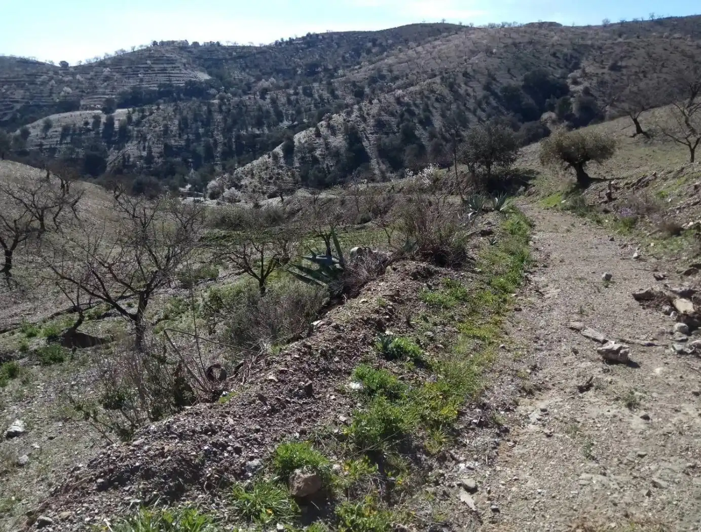 Terreny rústic en venda a Puerto Lumbreras, imagen 12