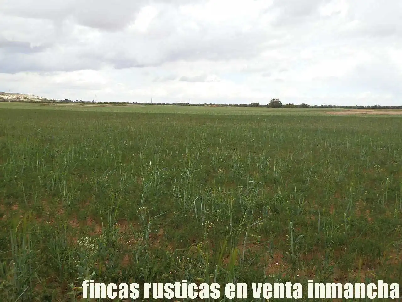 Terreny rústic en venda a Alcázar de San Juan, imagen 20