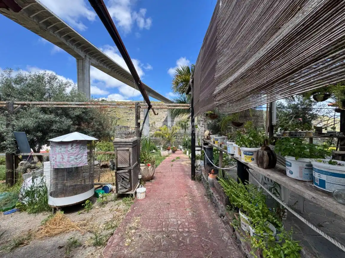 Jardí de Finca rústica en venda en Las Palmas de Gran Canaria amb Terrassa i Moblat