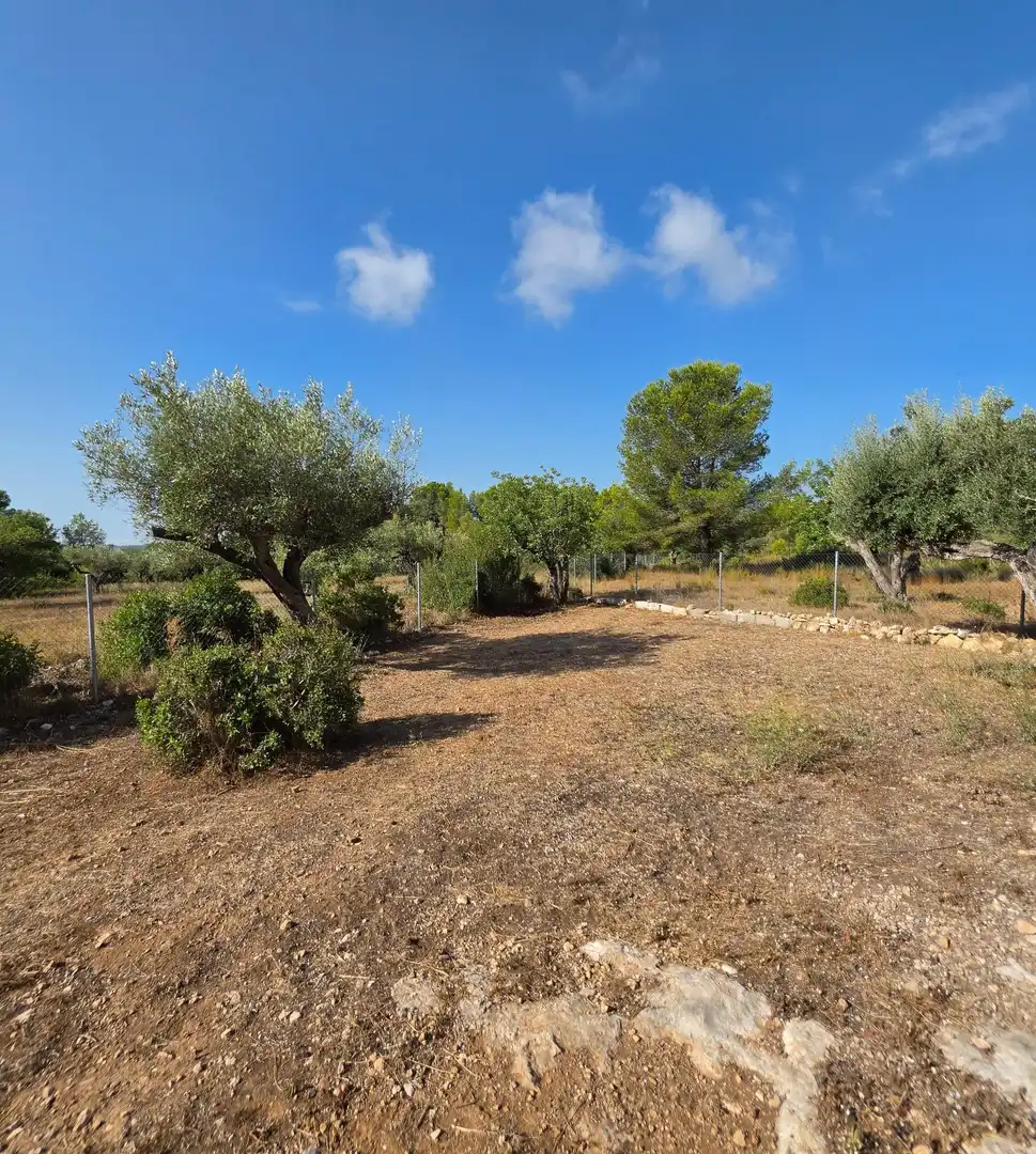 Landhaus mit Pool zum Verkauf in El Perelló, imagen 51