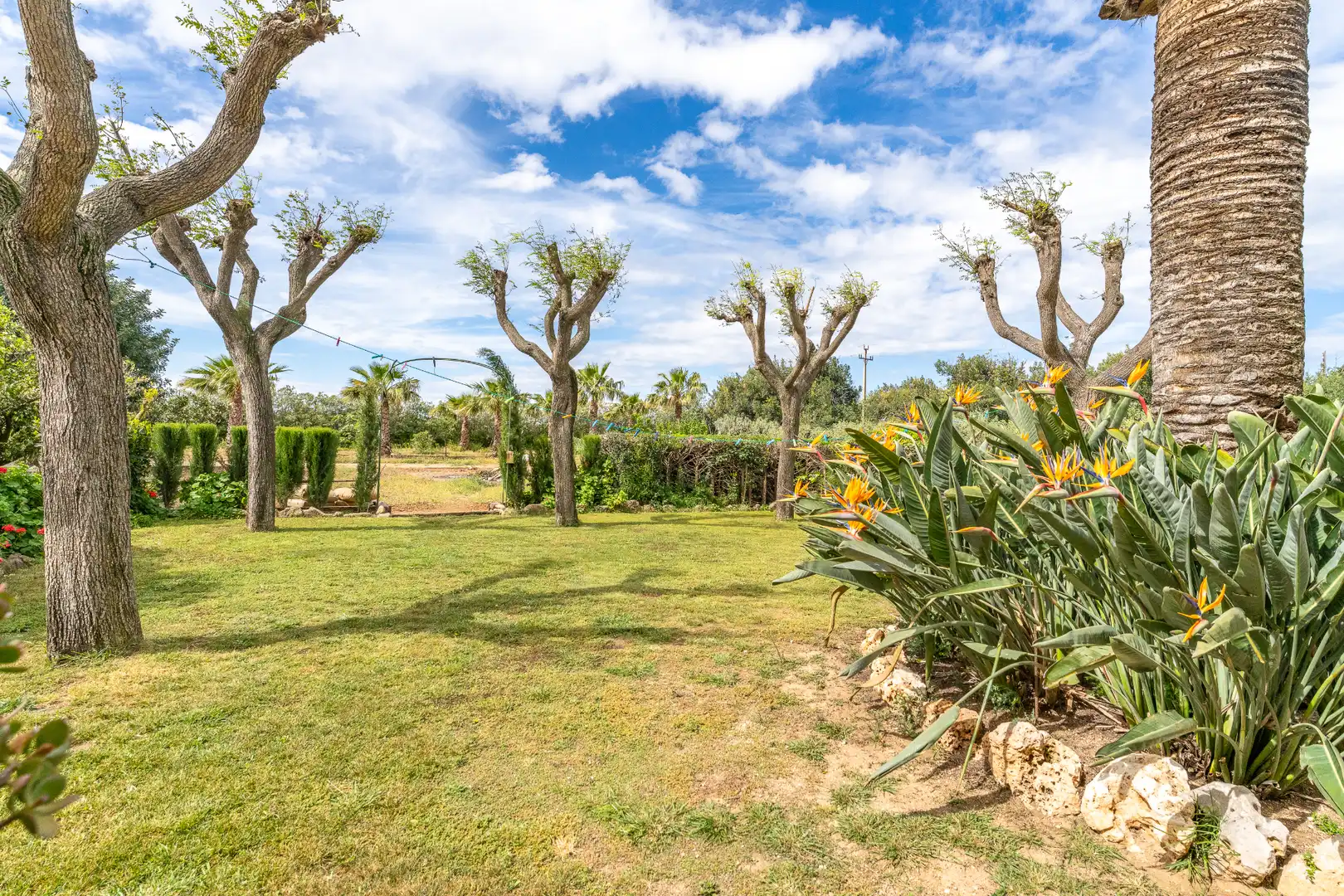 Jardí de Casa o xalet en venda en Reus amb Calefacció, Jardí privat i Terrassa