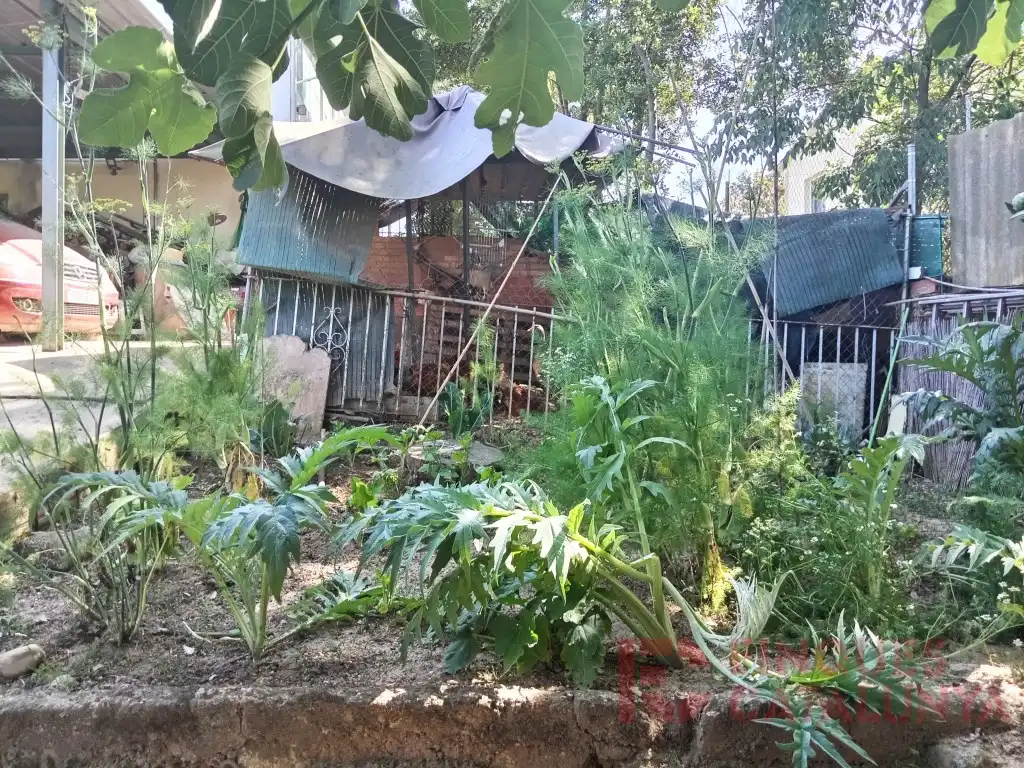Jardí de Casa o xalet en venda en Vilobí d'Onyar