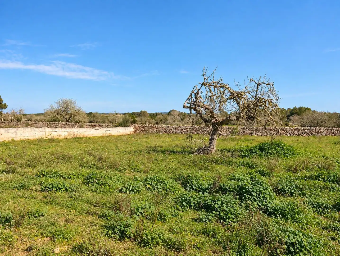 Casa in vendita a Algaida, imagen 49