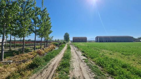 TERRENO RÚSTICO EN VENTA EN CIJUELA, immagine 3