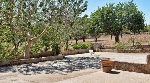 Photo 4 of Country house for sale in Calle Ma 4040, 10, Zona d'Interior, Illes Balears