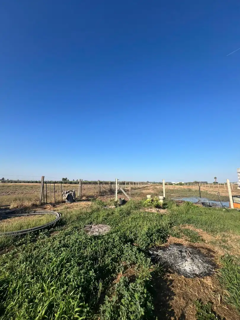 Finca rústica en venda en Los Palacios y Villafranca