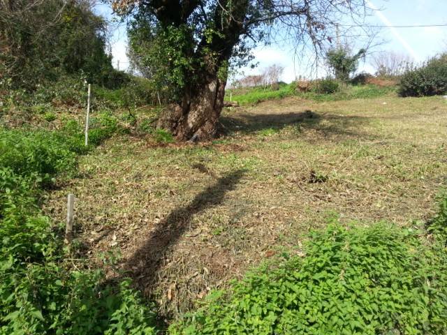 Terreno residencial en Venta en N/A, -1 en Carreño