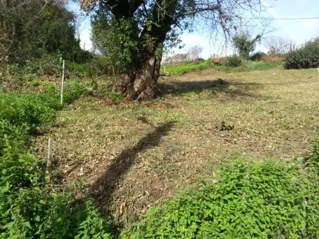 Terreny residencial en venda a Carreño