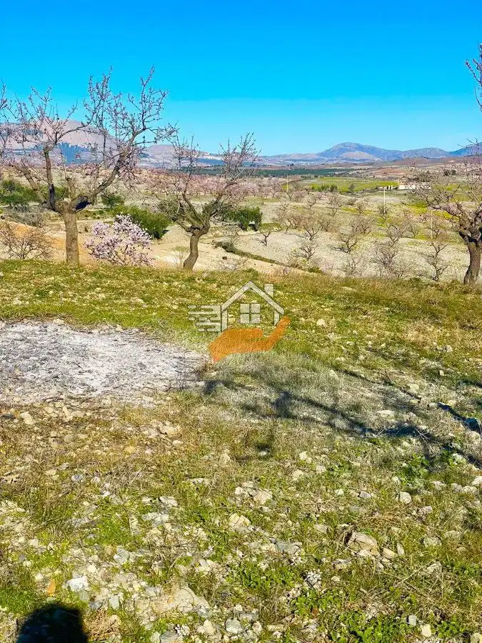 Casa rústica en venda a Vélez-Rubio, imagen 9