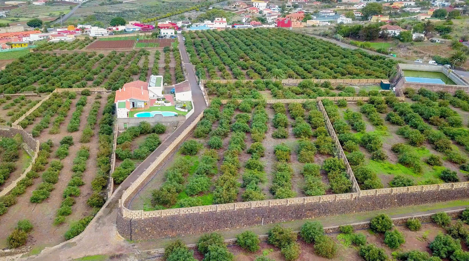 Country house for sale in Tegueste  with Terrace, Storage room and Swimming Pool