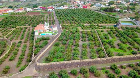 Finca de aguacates con casa y amplia zona de ocio con piscina