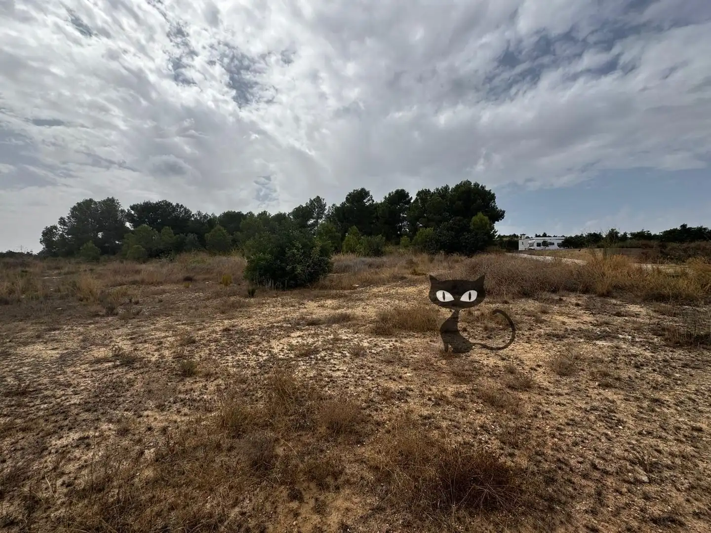 Rural land for sale in Calicanto - Cumbres de Calicanto - Santo Domingo, imagen 16