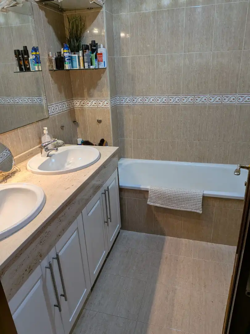 Bathroom of Detached homes for sale in Dos Hermanas