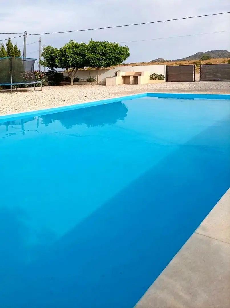 Swimming pool of Houses for sale in Novelda  with Swimming Pool and Alarm