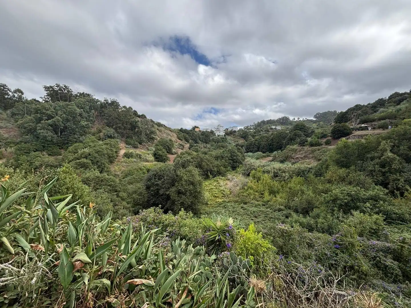Casa rústica con terraza en venta en Valleseco, imagen 58