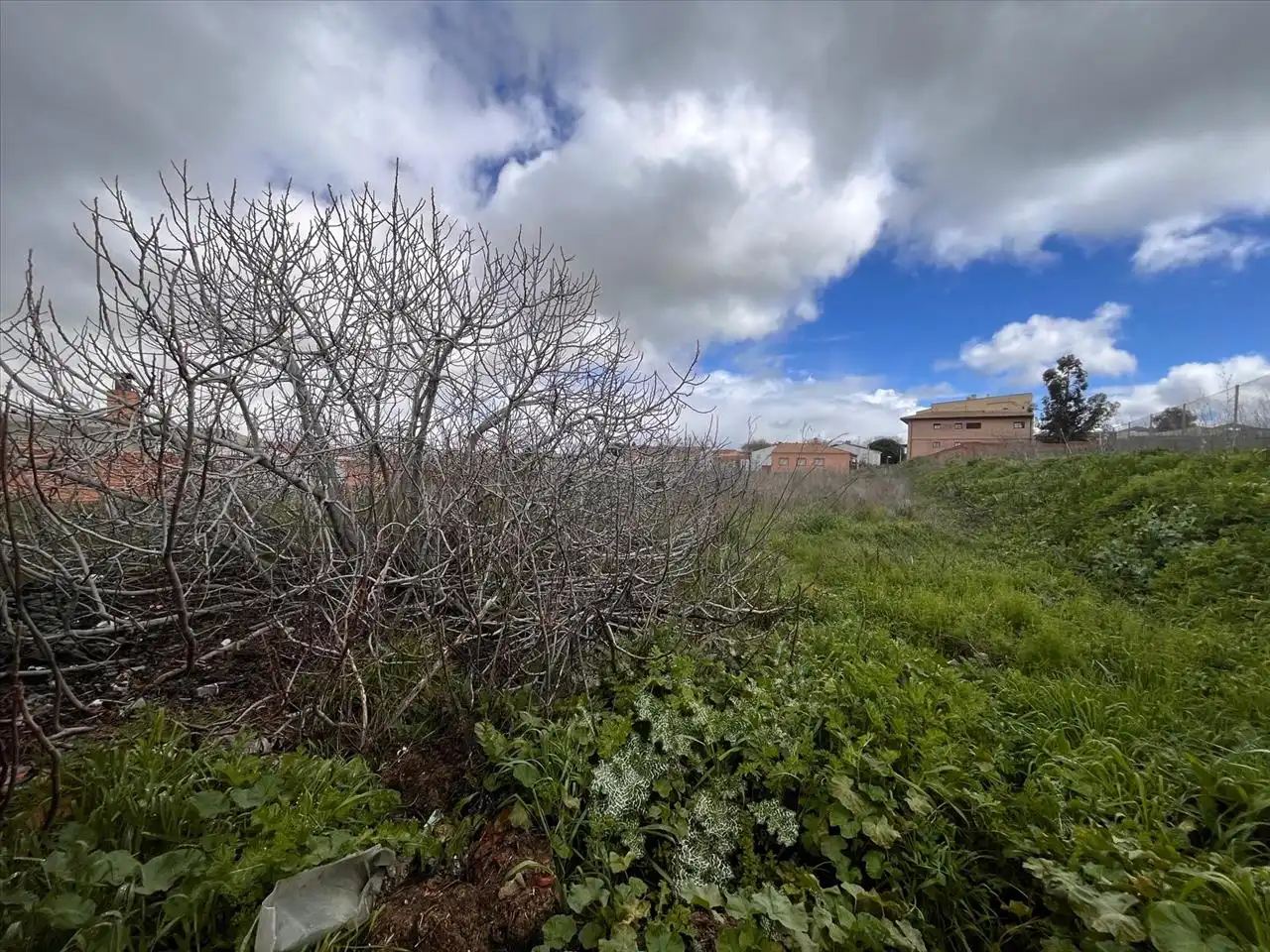 Terreny residencial en venda a Teodomiro Lopez Fentanes, imagen 6