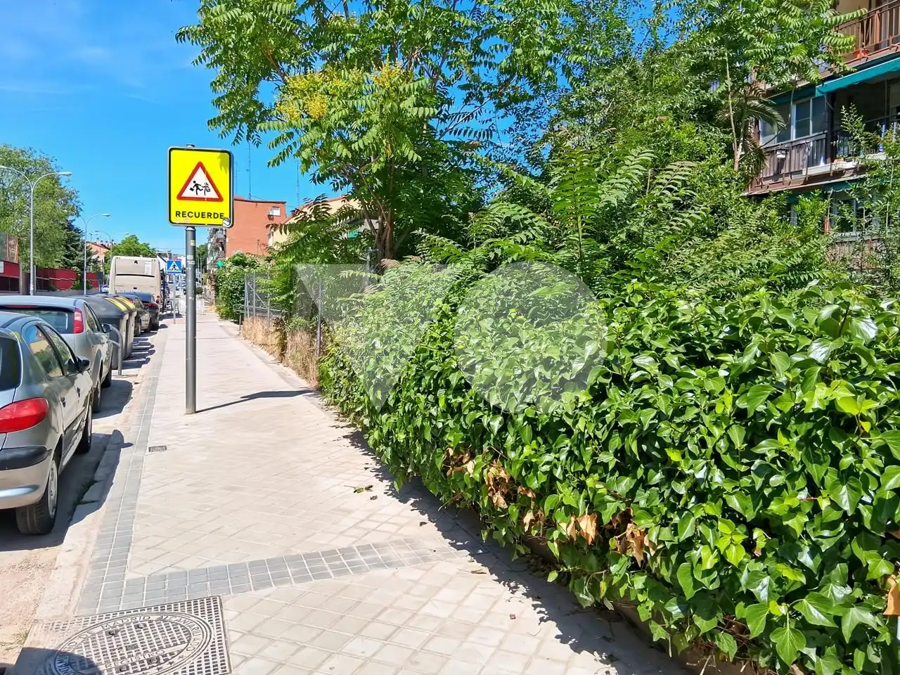 Vista exterior de Planta baja en venta en Madrid con Aire acondicionado y Calefacción