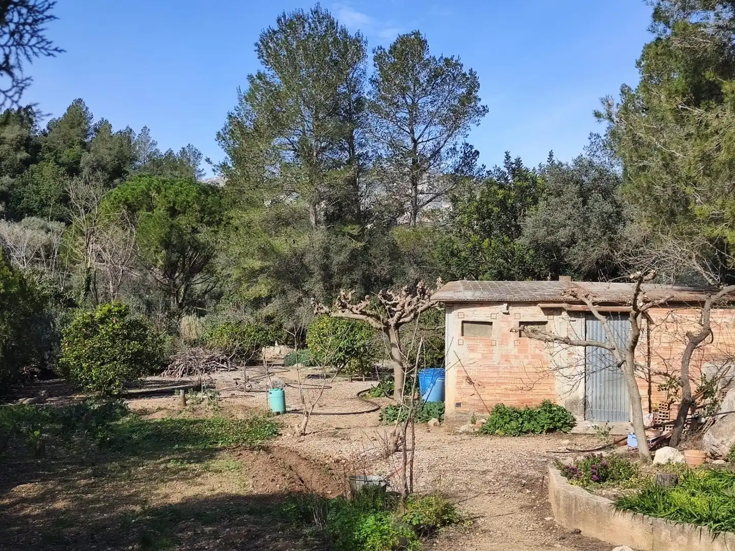 Casa con jardín en venta en Alfara de Carles, imagen 28