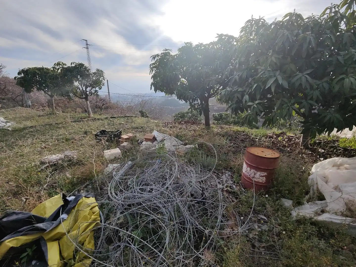 Rural land for sale in Itrabo, imagen 11