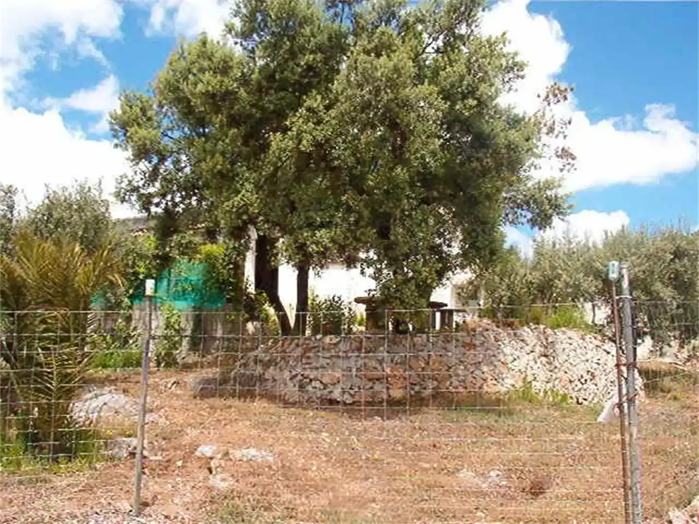 Terreno en venta en Los Guájares