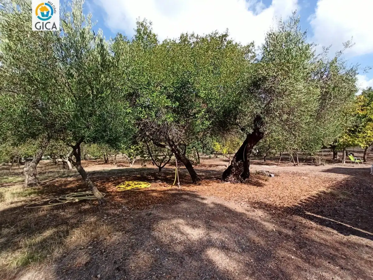 Casa rústica en venda a El Bosque, imagen 45