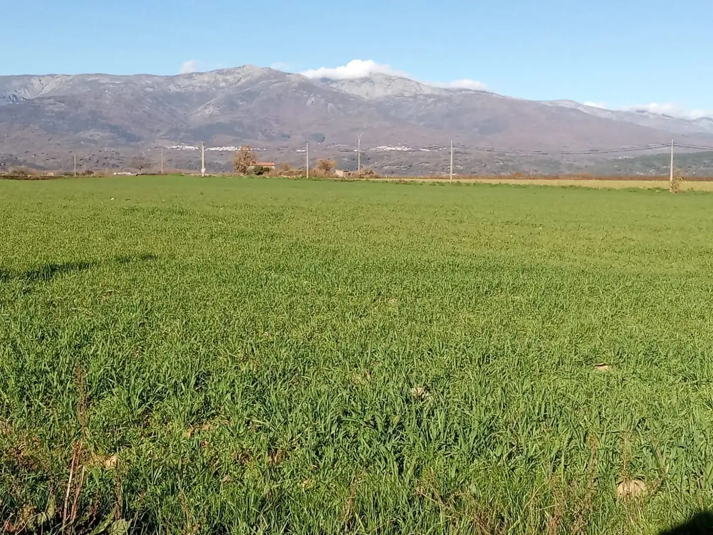 Land for sale in Losar de la Vera