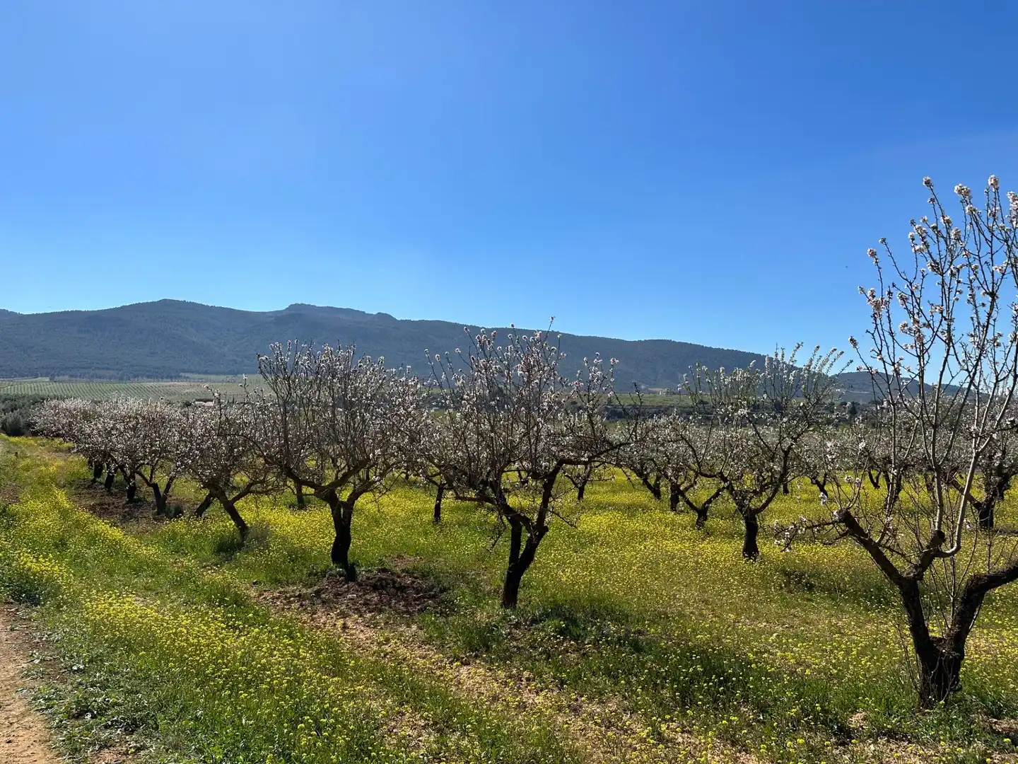 Terreno rustico in vendita a Dílar, imagen 3