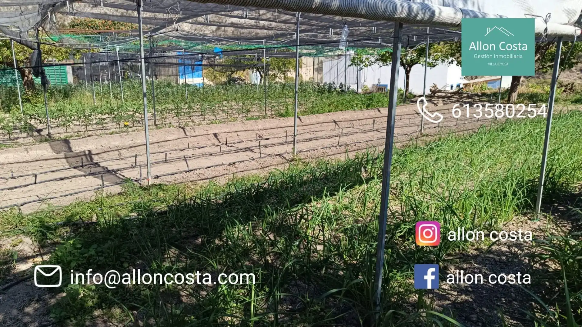 Terrenos y solares en venta en Orxeta, imagen 4