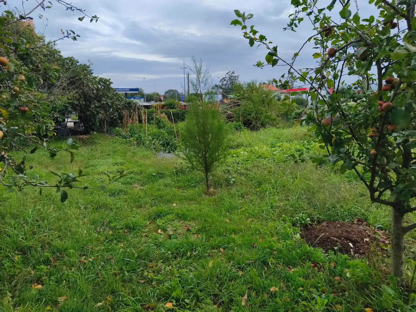 Wohnbaugrundstück zum Verkauf in Avenida Malpica 97, imagen 9