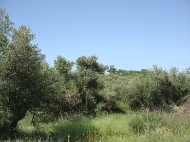 Rustikales Grundstück zum Verkauf in Villamediana de Iregua